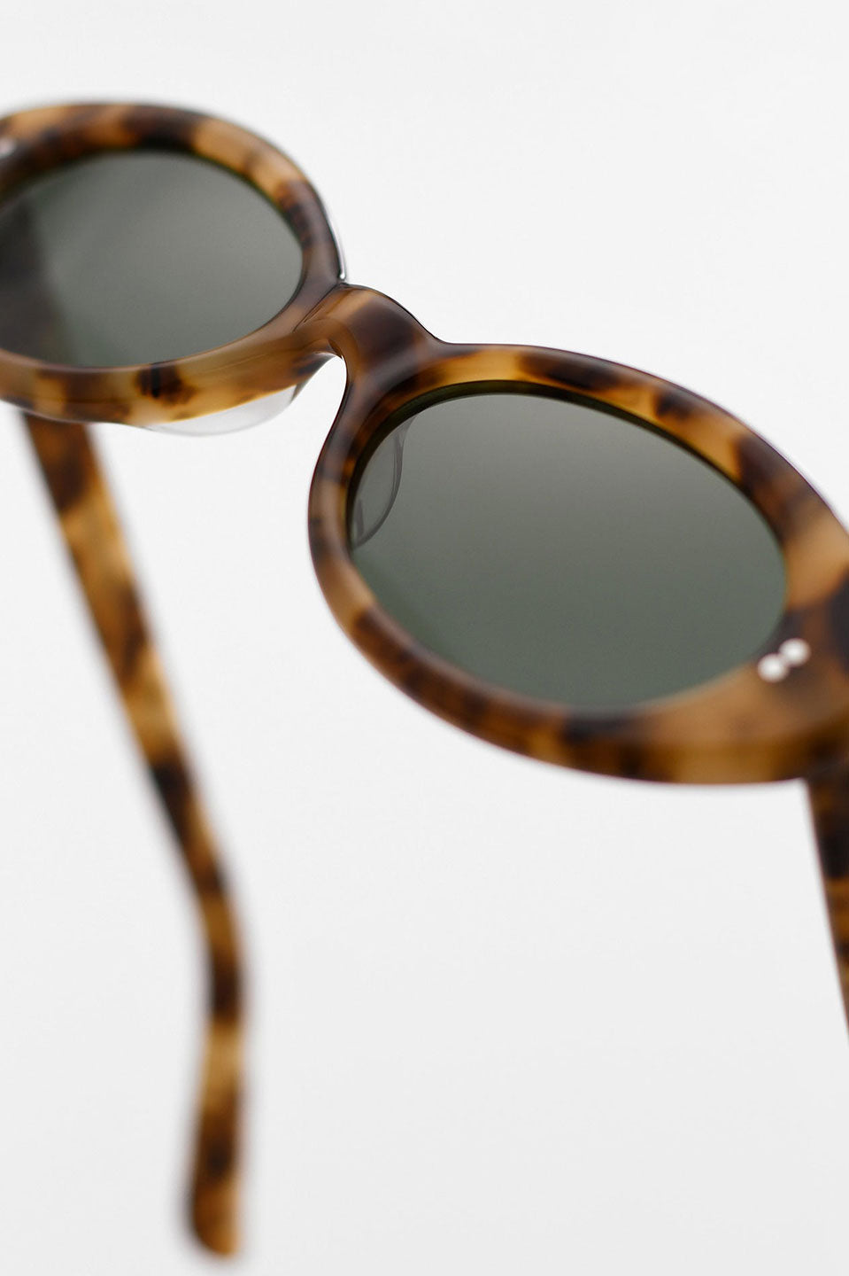 Γυαλιά ηλίου Daisy Tortoise / Green AKILA